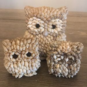 Vintage seashell owl set of three. Retro folk art style. Very cute